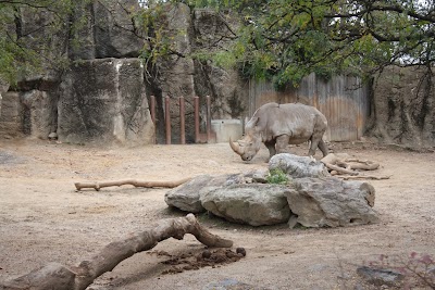 Zebra And Rhino Habitat