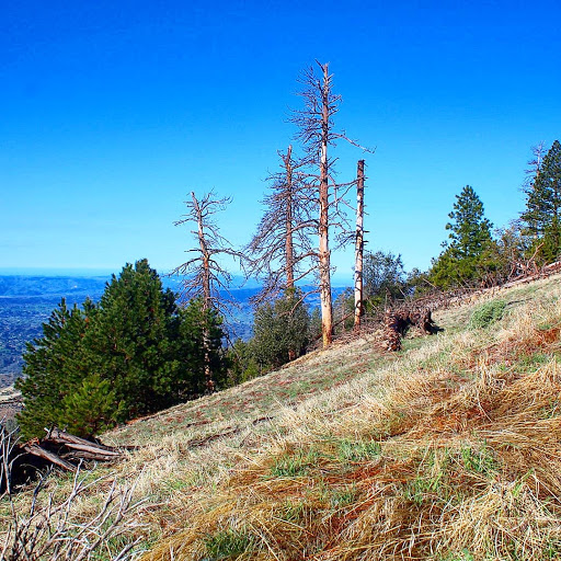 Figueroa Campground - Thumbnail