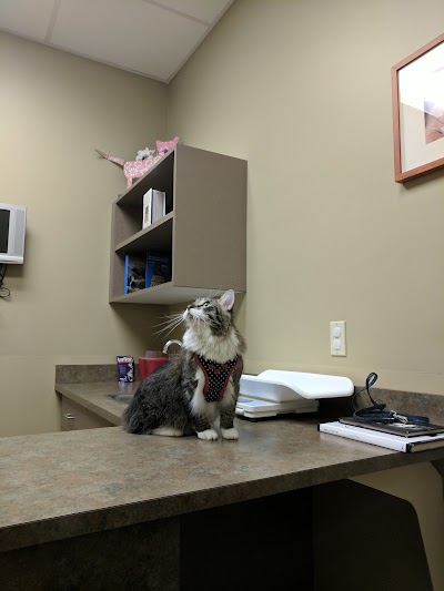 Carothers Pkwy Vet Clinic