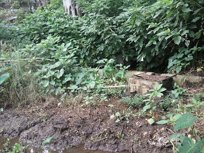 Photos of Taman Air Sarang Tengah