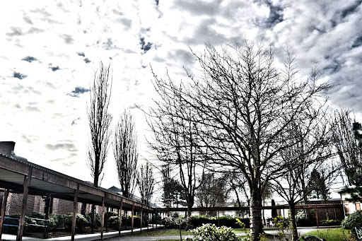 Federal Way High School - Thumbnail