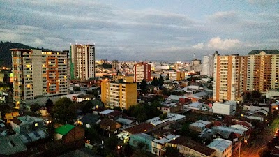 Photos of Torre Trio Urbano