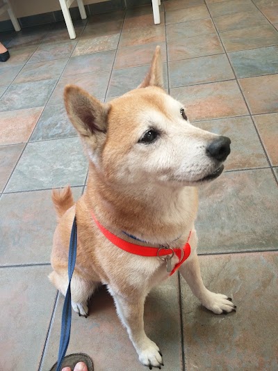 Photos of Pet Pal Veterinary Clinic