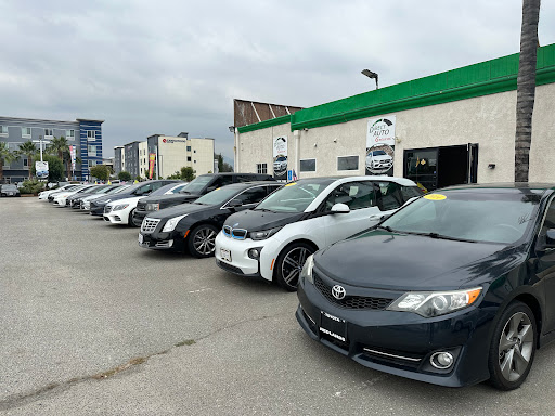 DIRECT AUTO GROUP INC.