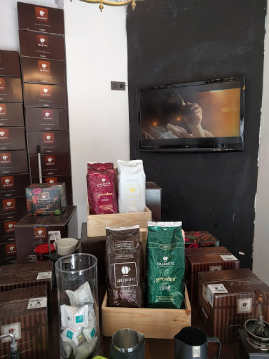 Lollo Store - Visual