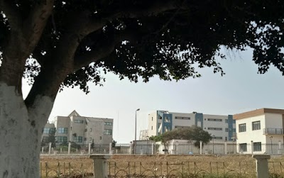 bank