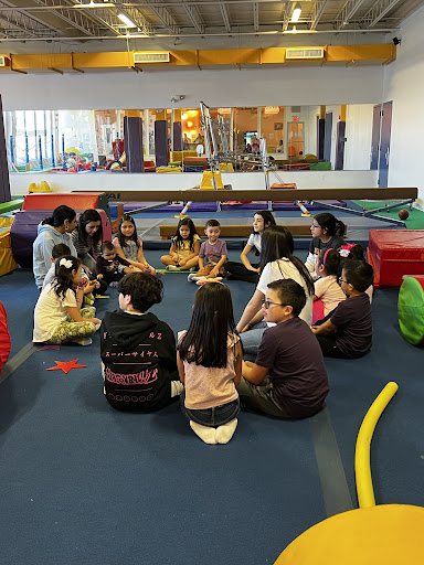 Tumble Jungle Gallery - United States