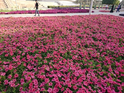 Photos of Zabeel Park Gate 3