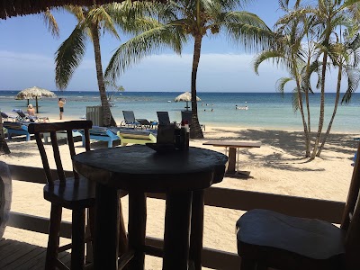 Photos of Texas Mule Saloon - Roatan