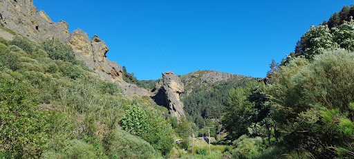 Tejerina - Thumbnail