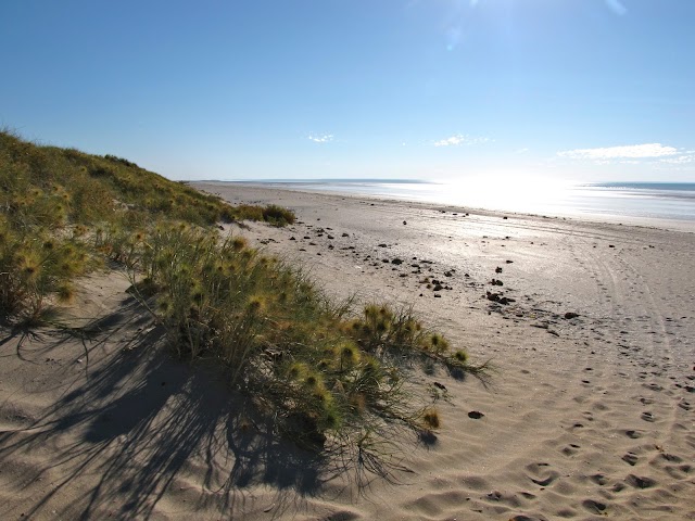 Eighty Mile Beach