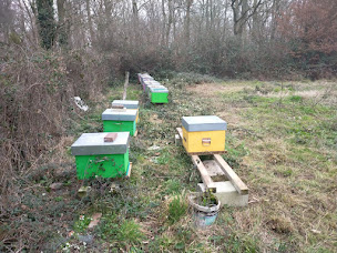 Photo n°2 de Rucher de Bosserand à Saint-Yan (Miellerie)