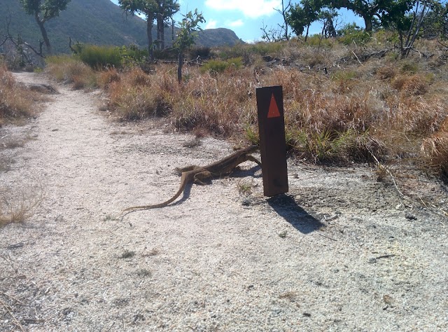 Lizard Island National Park