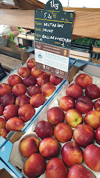 Photo n°5 de Locavorium Saint-Jean à Saint-Jean-de-Védas (Cave à vins)