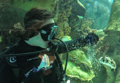 New England Aquarium Services - Thumbnail