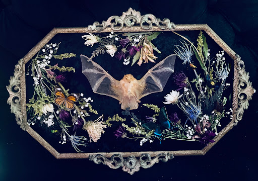 Ghost Hair Parlour: Salon, Oddities & Gifts - Thumbnail