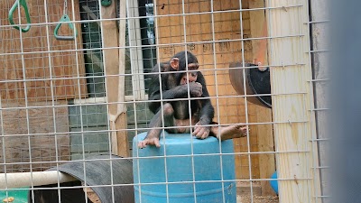 Photos of DeYoung Family Zoo