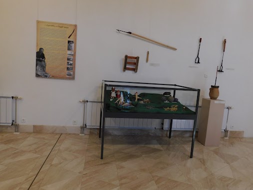 Damjanich János Múzeum - Szolnoki Galéria, Author: Ilona Judit Ádányné Somogyvári