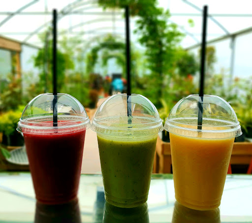 Cafe Prego - Visual