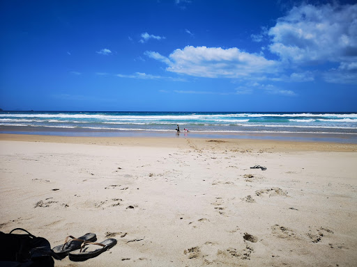 Opoutere Beach Public Park. - Thumbnail