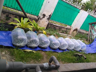 Photos of UPR DASENG