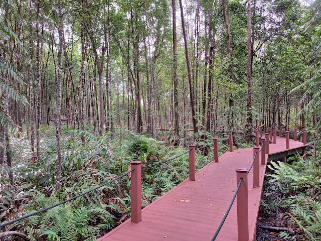 Matang Mangrove Forest Reserve Eco Park by null