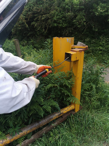 Northumberland Pest Control - Thumbnail