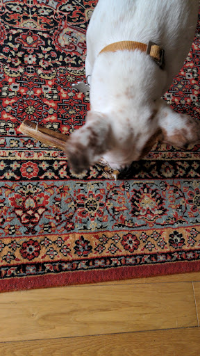 Bakewell pet supplies - Thumbnail