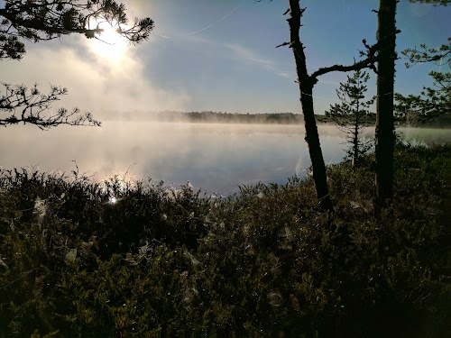 Suur Suurjärv