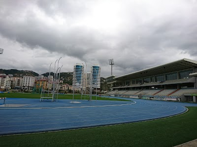 Söğütlü Athletics Stadium