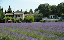Gîte La Cigale , Gîte La Fourmi à Réauville