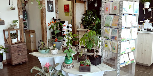 Fleuriste Direct - Visual