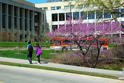 Ivy College of Business