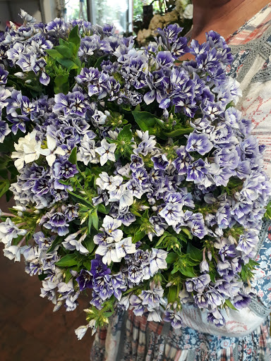 Die Blumenbinderin, Inh. Sylvia Schulze - Thumbnail