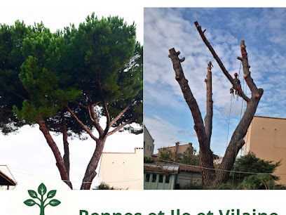 LS Elag | Élagage et abattage d'arbres - Rennes