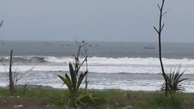 Photos of Bukit Pasir Puger