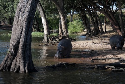 Photos of Impalila Conservancy