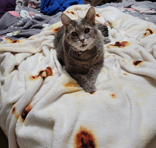 All About Restful Pets - Thumbnail