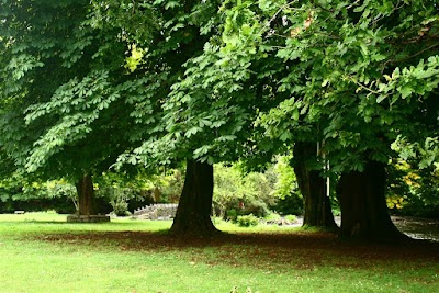 Photos of Oughterard Shrubbery