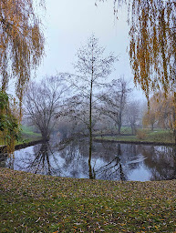 Photo n°13 de Alrick Gillet - IAD immobilier Elancourt à Élancourt (Consultant immobilier)
