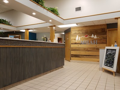 veterinary-care