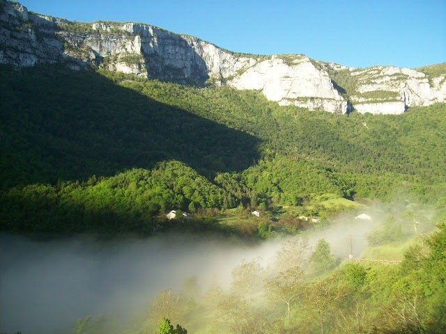 restaurant "la terrasse du grand frêne"