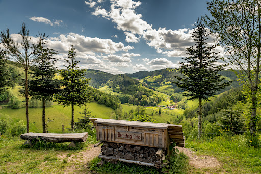 Schwarzwald Tourismus Kinzigtal e.V.