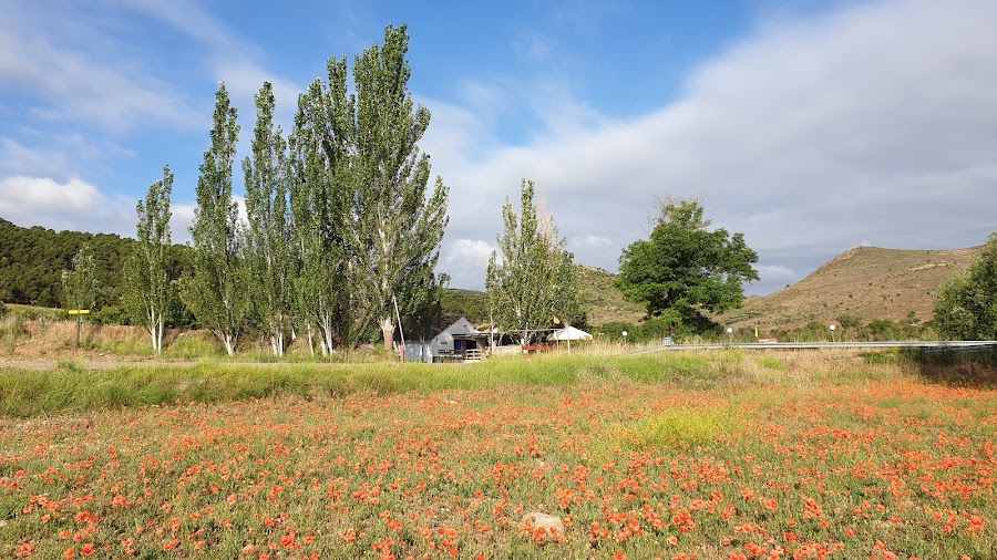 La Venta de Aranda