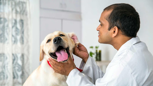 Banfield Pet Hospital