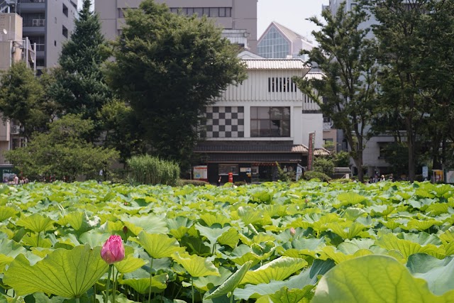 Shitamachi Museum