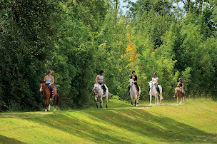 Photo n°21 de Centre équestre de Vaires-Torcy à Torcy (École de sports)