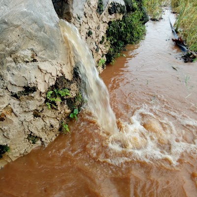 Photos of Toko Pak Mathori Pi Sem Finky