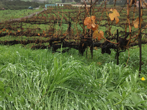 ATLANTE - Quinta San Antonio