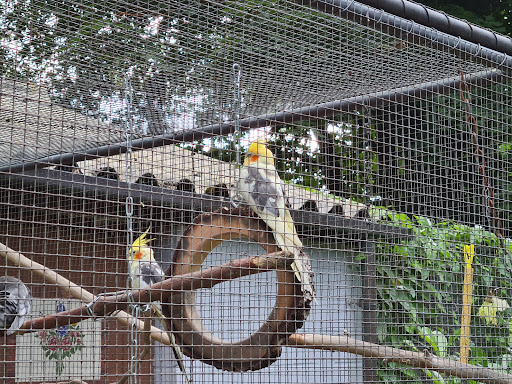 Vogelpark Eggenstein-Leopoldshafen Gallery - France